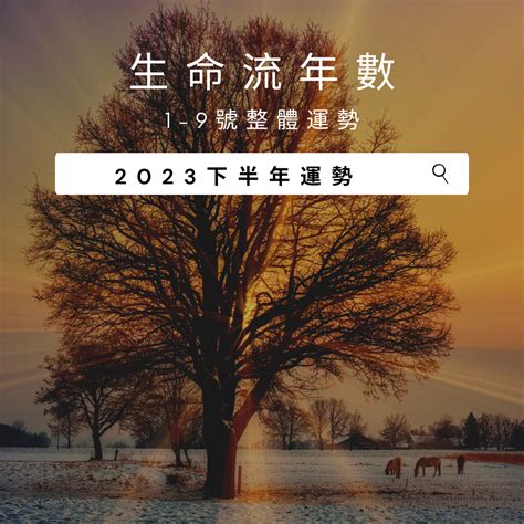 生命靈數流年|2023生命流年數看整體運勢，找到年度幸運方向（含。